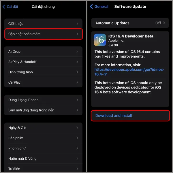 Mô tả ảnh: Màn hình iPhone hiển thị tùy chọn "Tải về và cài đặt" iOS 16.4 Beta 1 trong phần Cập nhật phần mềm