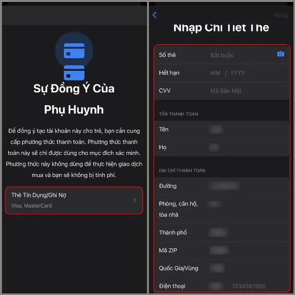 Mô tả màn hình iPhone yêu cầu nhập thông tin thẻ tín dụng/ghi nợ để xác minh danh tính người lớn