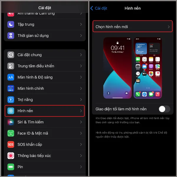 Một chiếc iPhone hiển thị màn hình cài đặt với tùy chọn hình nền, người dùng có thể chọn từ thư viện ảnh hoặc các hình nền mặc định của iOS 14, bao gồm các thiết kế trừu tượng với dải màu gradient nổi bật trên nền tối.