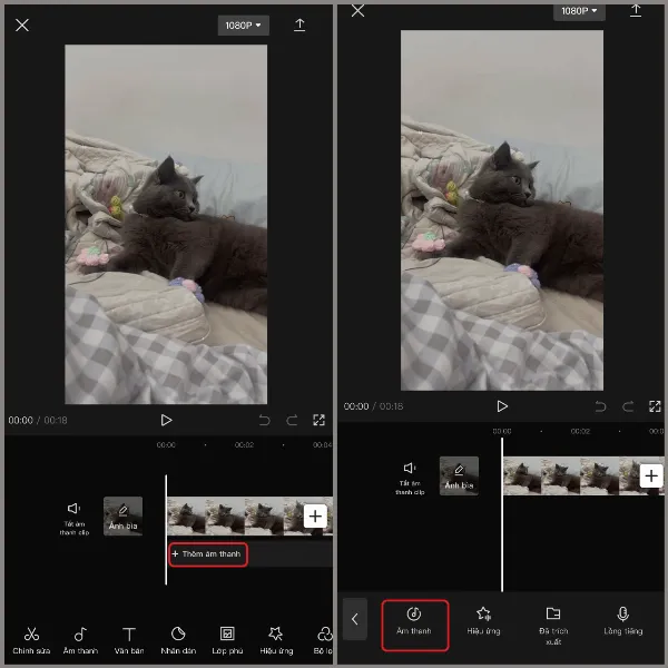 Người dùng chọn "Thêm âm thanh" và chọn "Âm thanh" trên ứng dụng CapCut