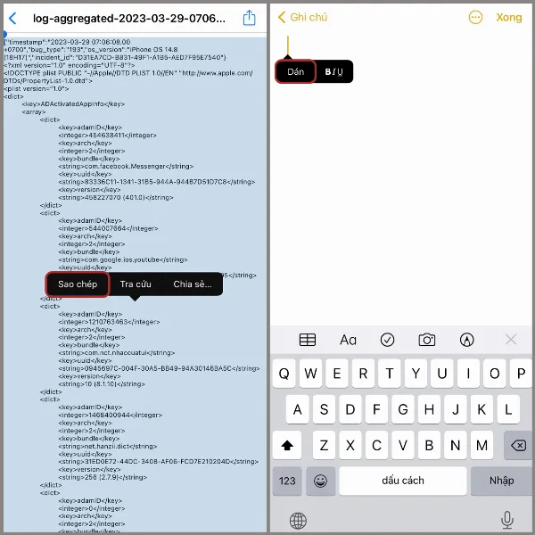 Người dùng dán dữ liệu đã sao chép từ phần Dữ liệu Phân tích vào ứng dụng Ghi chú