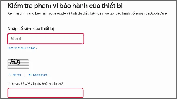 Nhập Số sê-ri, mã xác nhận và nhấn Continue để kiểm tra