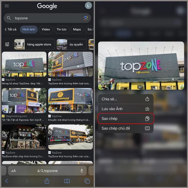Sao chép hình ảnh từ trình duyệt