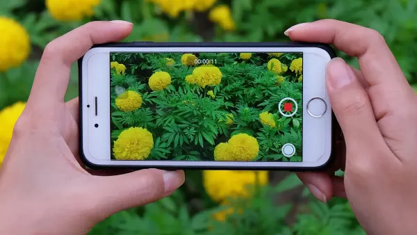 9 cách quay video đẹp trên iPhone, giúp bạn có ngay những thước phim với chất lượng xuất sắc 5 Tắt xem bên ngoài khung hình