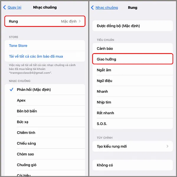 Thay đổi kiểu rung thông báo cuộc gọi đến trên iPhone