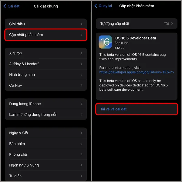 Tiến hành tải về và cài đặt iOS 16.5 Developer Beta