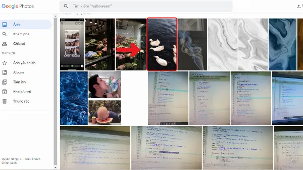 Truy cập Google Photos trên trình duyệt web máy tính