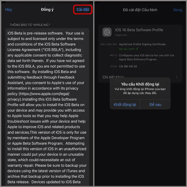 Xác nhận cài đặt và khởi động lại thiết bị
